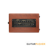 Joyo BSK-80 Busking Amplifier