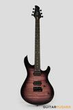 Leeky R-Series R15 S Style (Rosewood Fingerboard) - Purple Burst