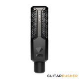 LEWITT RAY 1" True Condenser Studio XLR Auto-Focus Microphone