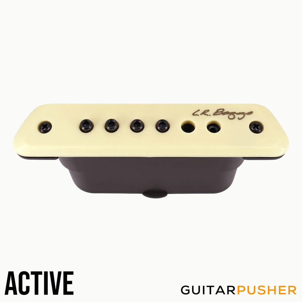 L.R. Baggs M1 Magnetic Acoustic Guitar Soundhole Pickup System