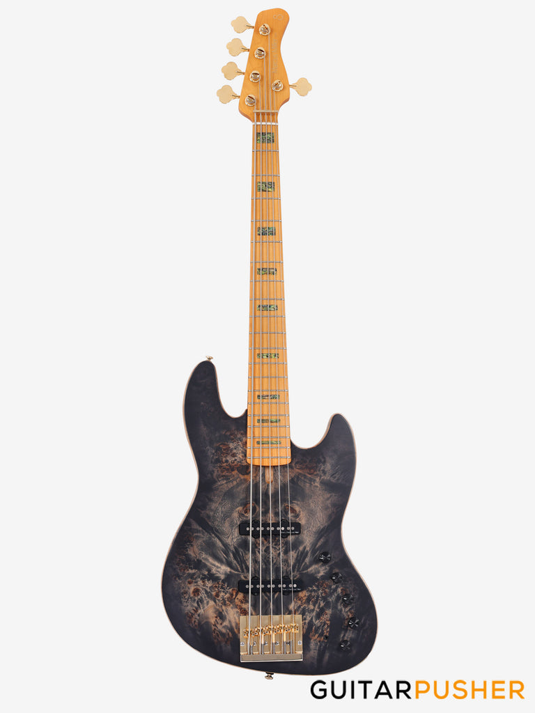 人気ブランド 海外通販 - 国内入手困難 Ash Swamp V10 Sire 5-String Satin Black Transparent - Bass ベース
