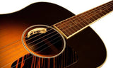 L.R. Baggs Anthem Acoustic Guitar Dual Mic/Piezo Pickup System