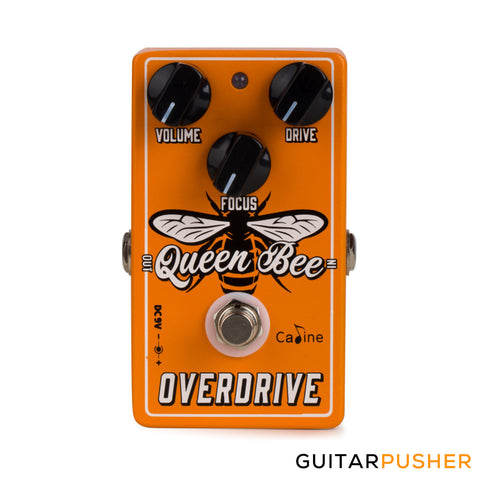 Caline CP-503 Queen Bee Overdrive