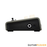 L.R. Baggs Voiceprint DI Acoustic DI Pedal w/ Voiceprint Technology & AcousticLive App Integration