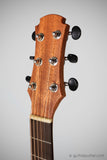 Maestro Project X X1-V1 All Solid Sitka Spruce/Mahogany OM Acoustic Guitar w/ Case - GuitarPusher