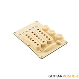 WD Stratocaster Accessory Kit Knobs, Pickup Cover, Backplate, Tremolo Tip