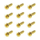 WD Pickguard Screw - set of 12 - GuitarPusher