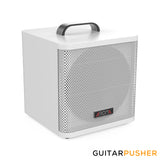 Aroma AG-40A 40W Portable Acoustic Guitar Amplifier/Micro PA or Monitor with Built-in Rechargeable Battery and Bluetooth