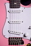 PRS Guitars USA Silver Sky w/ Rosewood Fingerboard Roxy Pink