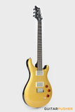 PRS Guitars SE DGT Electric Guitar (Gold Top)