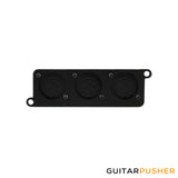 Temple Audio Design MOD-MIPP Mini Module Punched Plate