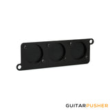 Temple Audio Design MOD-MIPP Mini Module Punched Plate