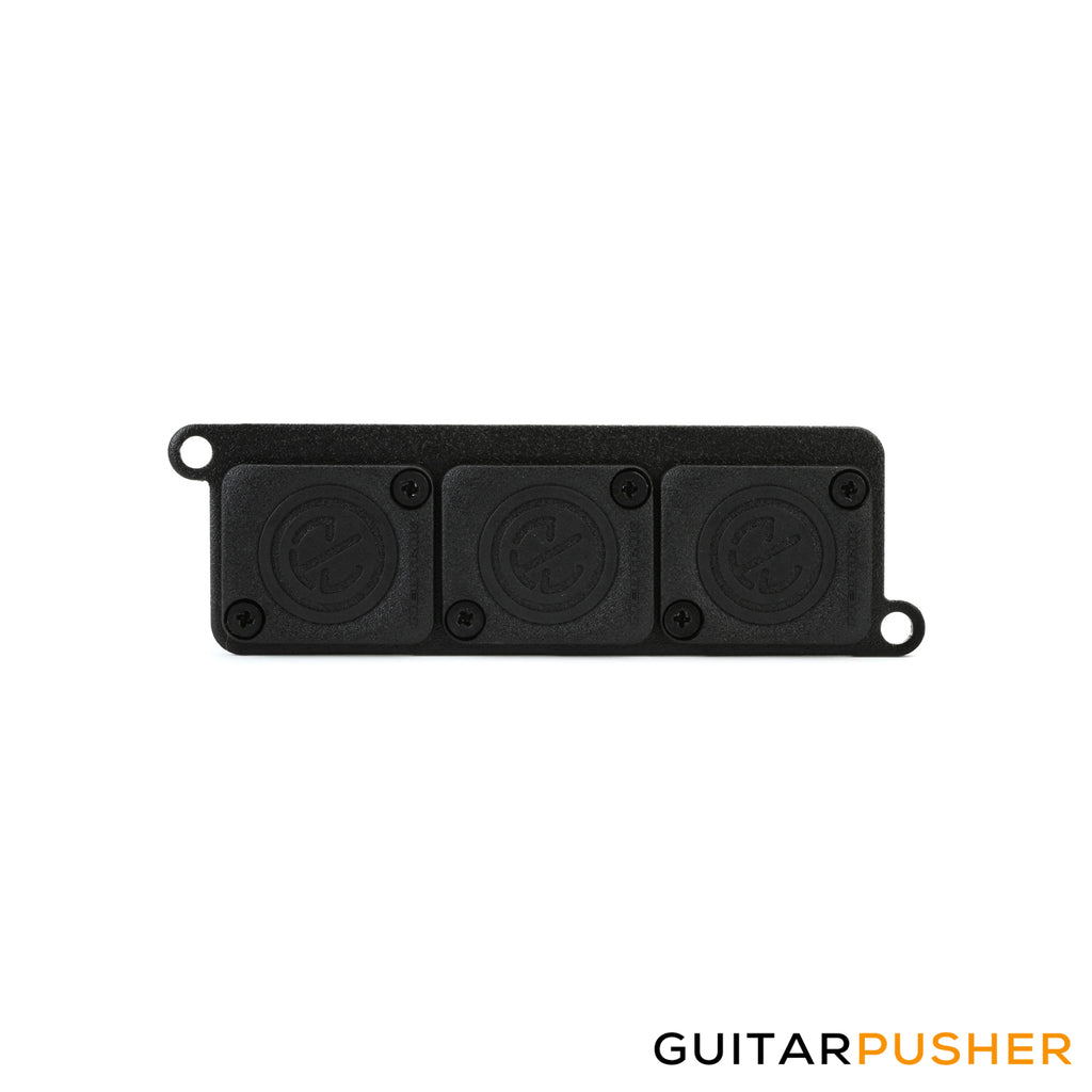 Temple Audio Design MOD-MIPP Mini Module Punched Plate – GuitarPusher