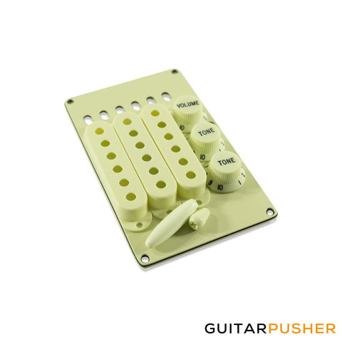 WD Stratocaster Accessory Kit Knobs, Pickup Cover, Backplate, Tremolo Tip - Mint