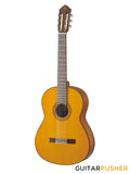 YAMAHA CG142C Solid Cedar Top Full-Size Classical Guitar - Natural
