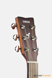 YAMAHA FGX800C Solid Spruce Top/Nato Okume Dreadnought Cutaway Acoustic-Electric Guitar - Natural