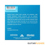 Horizon Devices Progressive Tension Standard 8 Electric Guitar Strings 9-80 (9 12 15 23 33 46 60 80)