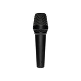 LEWITT MTP 250 DM Dynamic Vocal Microphone