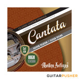 Medina Artigas Cantata Classical Guitar String