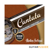 Medina Artigas Cantata Classical Guitar String