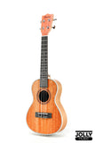 Phoebus UK-24 All Mahogany Ukulele