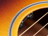 L.R. Element VTC Active Acoustic Guitar Undersaddle Pickup System - GuitarPusher