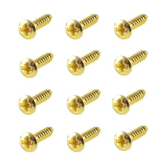 WD Pickguard Screw - set of 12 - GuitarPusher